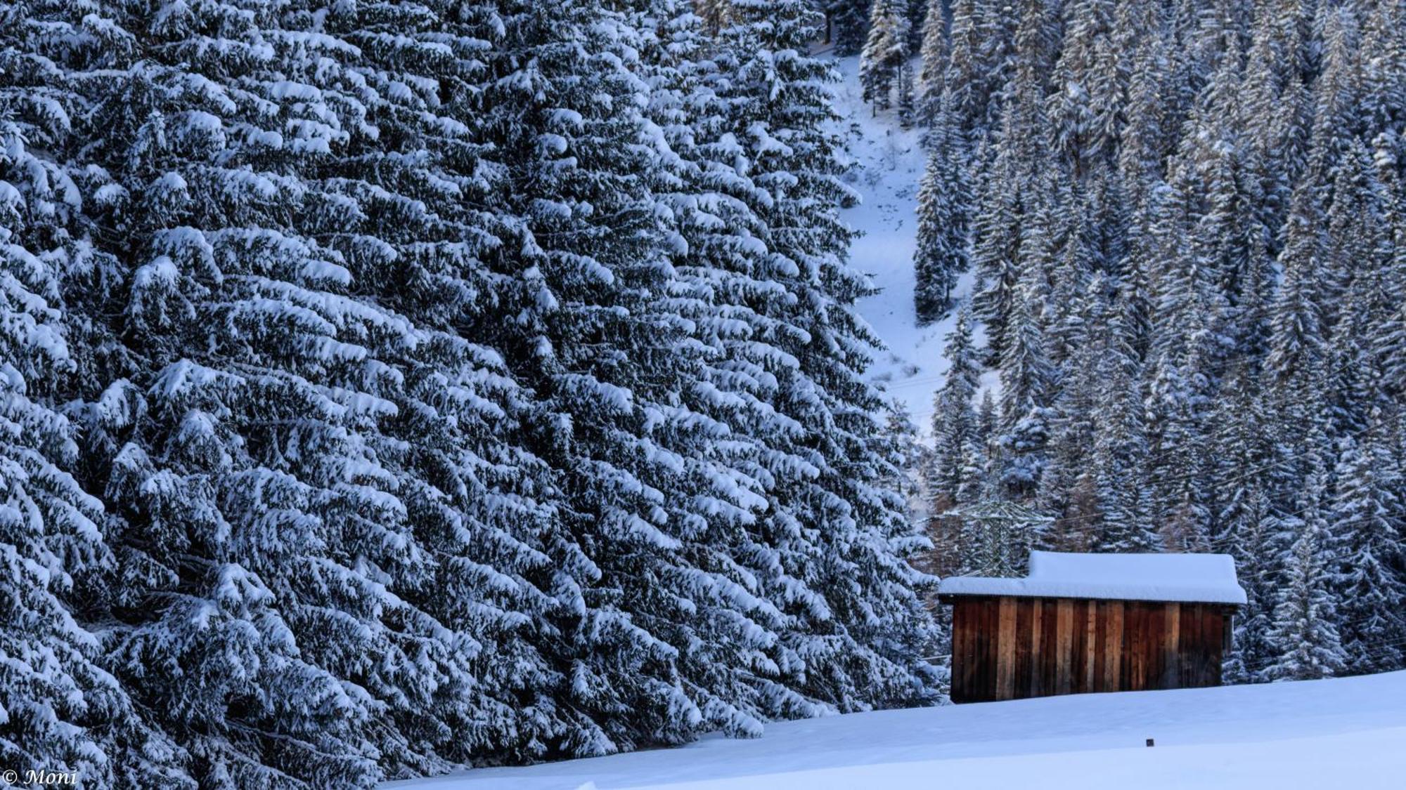 Haus Timmler Appartement Sankt Anton am Arlberg Buitenkant foto