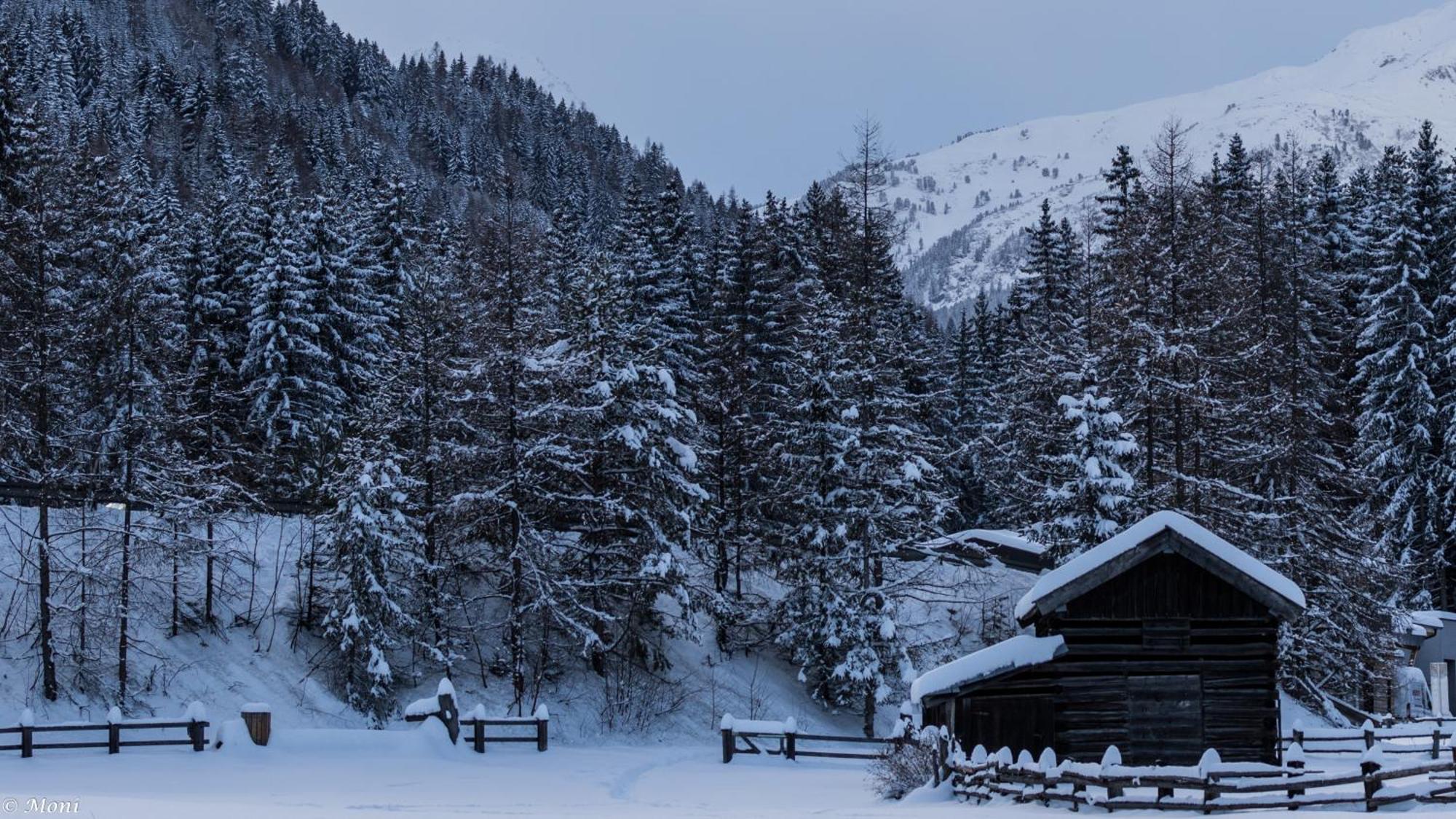 Haus Timmler Appartement Sankt Anton am Arlberg Buitenkant foto